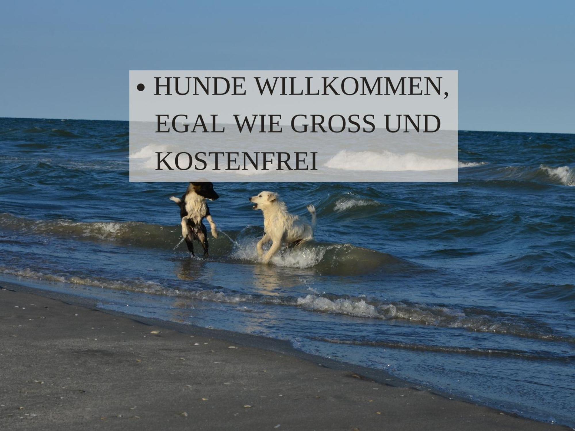 Haus Krabbe Zimmer Ohne Kueche, Fuer 1-2 Personen, Doppelbett, Zentral Gelegen Zwischen Cuxhaven Und Bremerhaven, Hunde Kostenfrei Willkommen, Kostenfreier Parkplatz Wremen Eksteriør billede
